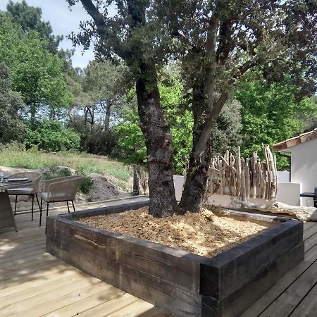 Villa Bois Flottes Льо Вердон-сюр-Мер Екстериор снимка